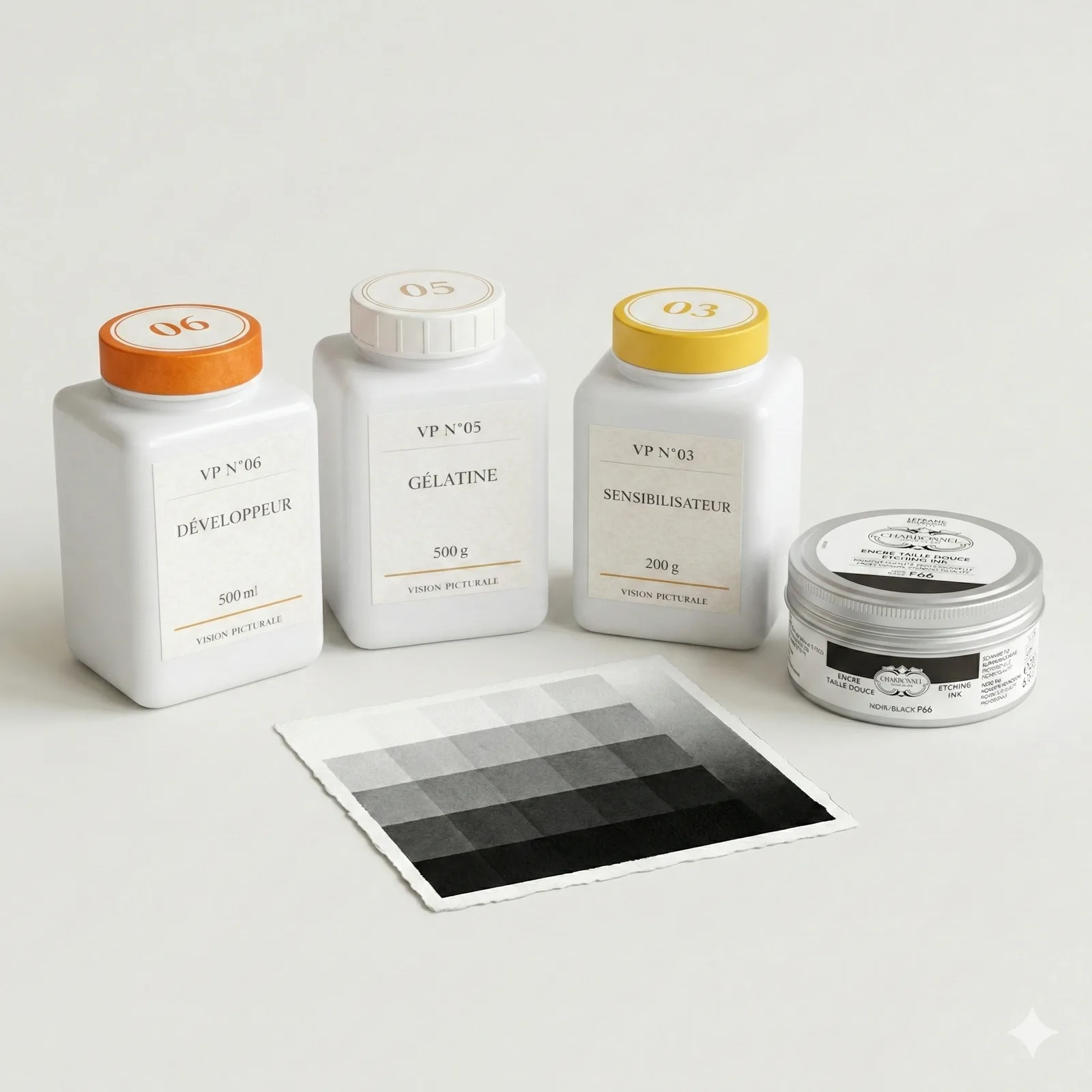 Bromoil — tirage photographique alternatif non toxique, Vision Picturale