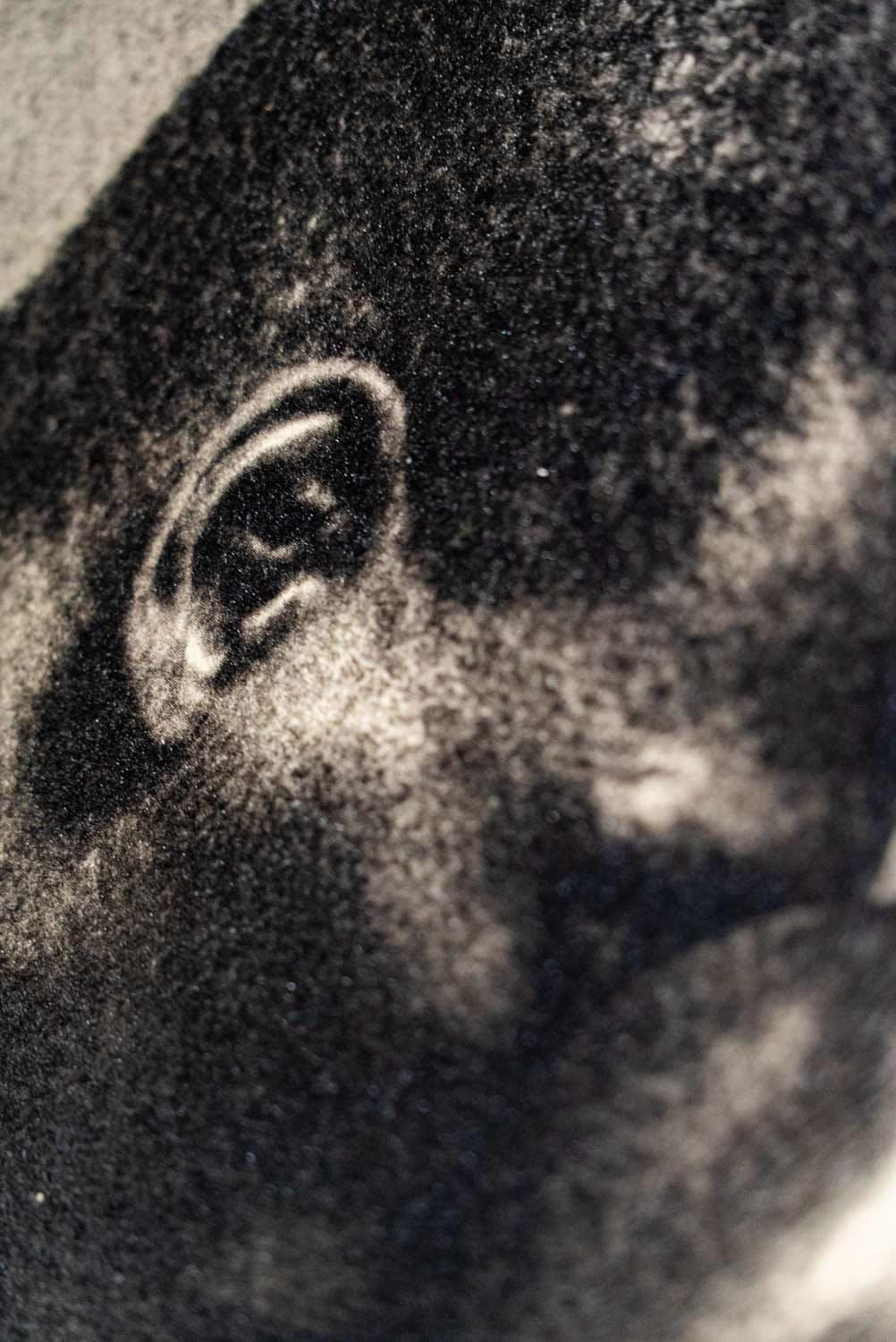 Détail du relief d'encre d'un bromoil Vision Picturale